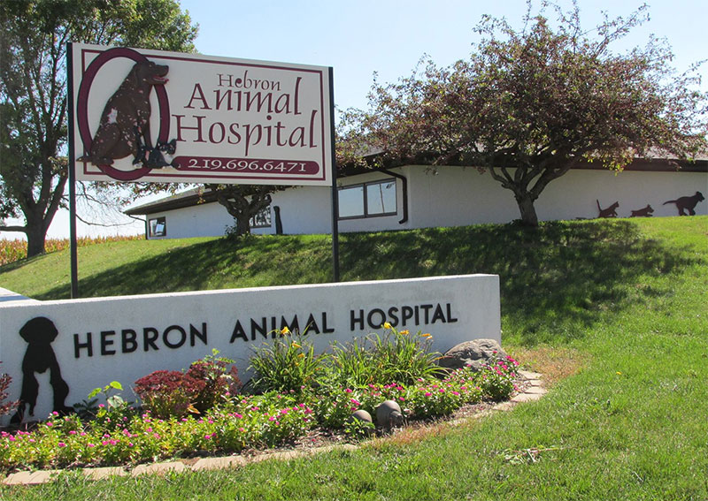 Carousel Slide 3: Hebron Veterinary Hospital